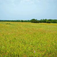 New Property images 3