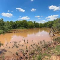 New Listing 322 - Acres Fisher County images 2