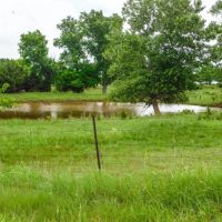 129 Acres Ponds Pasture Timber Building Tracts More images 5