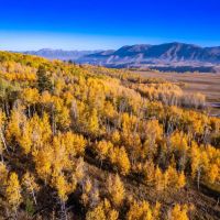 Ross Plateau images 5