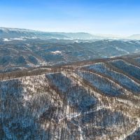 Large Timber Tract for Sale in Bluefield VA images 4