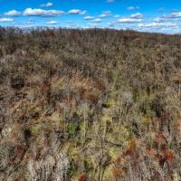Premium 32 - Acre Parcel in La Crosse County WI images 2