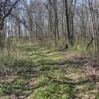 Premium 32 - Acre Parcel in La Crosse County WI images 3