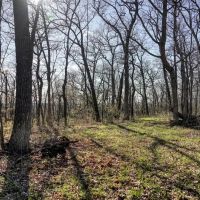 Premium 32 - Acre Parcel in La Crosse County WI images 4