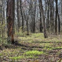 Premium 32 - Acre Parcel in La Crosse County WI images 5