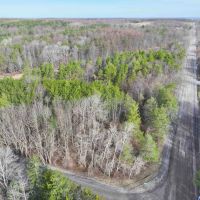 14 acres Hunting Land and Recreational Land with Creek in Darien Center NY Friedman Rd