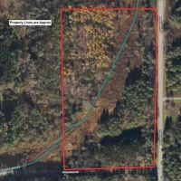 14 acres Hunting Land and Recreational Land with Creek in Darien Center NY Friedman Rd images 3