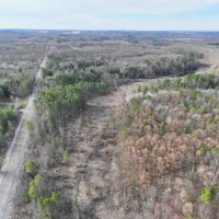 14 acres Hunting Land and Recreational Land with Creek in Darien Center NY Friedman Rd images 4