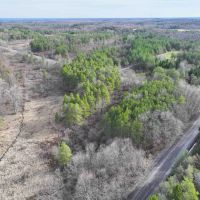 14 acres Hunting Land and Recreational Land with Creek in Darien Center NY Friedman Rd images 5