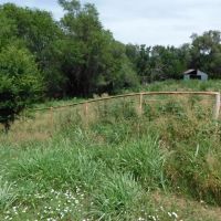 1606 Acres Pasture Timber Ponds More AUction 9 14 images 3