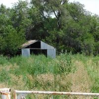1606 Acres Pasture Timber Ponds More AUction 9 14 images 5