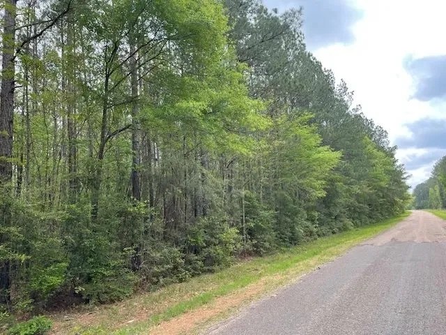 31 Acres Centerville Rd featured image