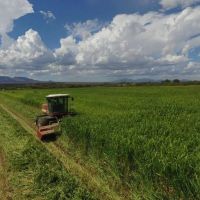 Arizona Farm Lot and Land Auction images 1