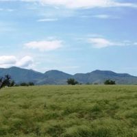 Arizona Farm Lot and Land Auction images 5