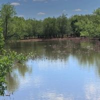 New Listing 277 - Ac Fisher County images 2