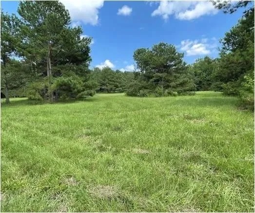 35.5 Acres in Neshoba County in Union MS featured image
