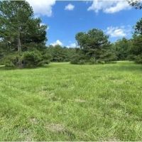 35.5 Acres in Neshoba County in Union MS