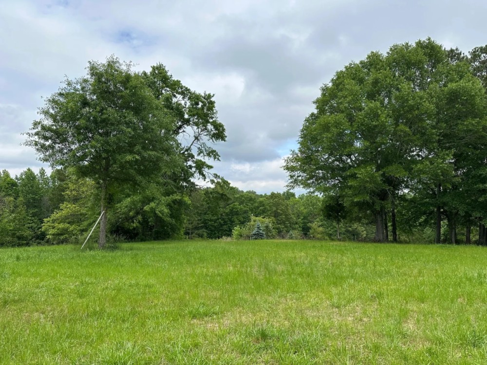 Discover Your Dreams on 15.32 Acres featured image