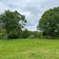 Discover Your Dreams on 15.32 Acres images 1