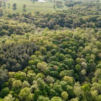 53 acre recreational property images 2