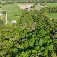 53 acre recreational property images 3