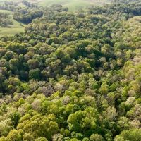 53 acre recreational property images 4