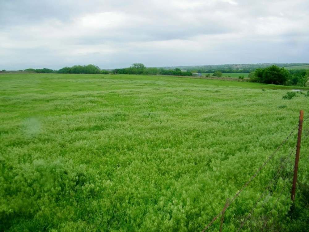 30 Acre Pasture or Homesite in McLain Co Oklahoma featured image