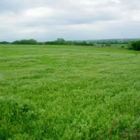 30 Acre Pasture or Homesite in McLain Co Oklahoma