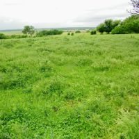 30 Acre Pasture or Homesite in McLain Co Oklahoma images 5