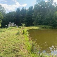 38 acres with Cabin and Pond in Rensselaerville NY 50 Frieda s Hill Lane images 2