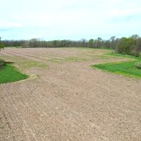 143.43 Acre Combo Farm Morgan County Illinoisew Property images 4