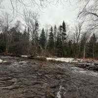 Untouched 9 Acres with Cold River Frontage
