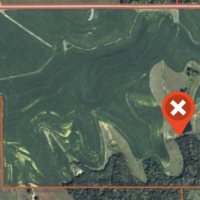 536 acres, Whitetail and Turkey, 4 tracts with water sources, Northwest Missouri