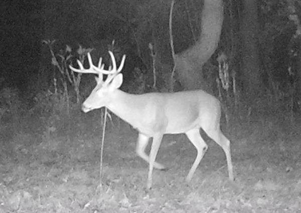 Game cam1 featured image
