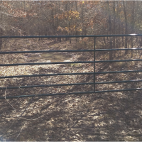 Gate