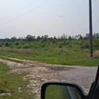 Logged 70 acre tract