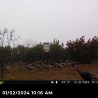 Img 5044