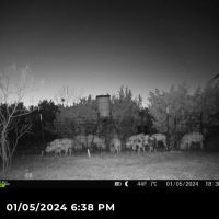 241 Acres Nolan County