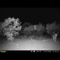 Img 5048