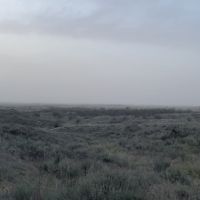 Img 4269