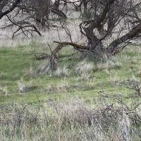 Img 4274