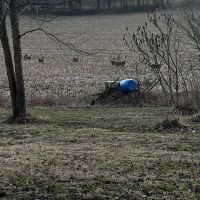 Img 0863