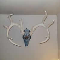 20250623 211201