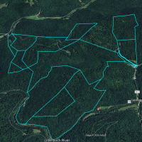 Willow Bend Mountain 600 Acre WV Wilderness