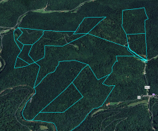 Willow Bend Mountain 600 Acre WV Wilderness