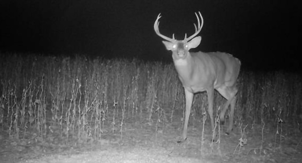 Img 5199 featured image
