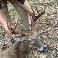 Lenzy hunting lease