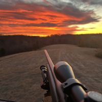 Beautiful rolling 137 acres loaded with wildlife for lease