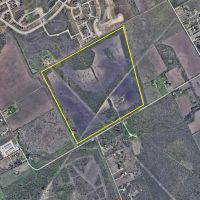 Corporate dove lease 150 acres