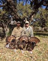 2200 Acre Deer Season Lease Dripping Springs 15 Blinds/Feeders Maintained With Corn , House Provided